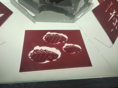 -龙岗区科技馆