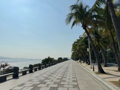 -深圳湾公园(南山区)
