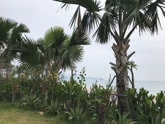 -大梅沙海滨公园