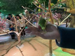 -酷嗒动物文化乐园(cutezoo西溪乐天城店)