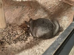 -酷嗒动物文化乐园(cutezoo西溪乐天城店)