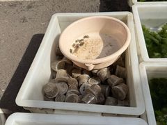 -苏州市皮市街花鸟工艺品市场