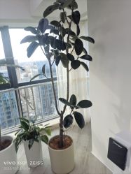 -HEYAN荷妍专业脱毛连锁机构