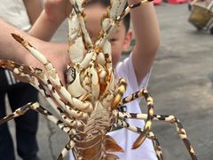 -兰坡海鲜市场