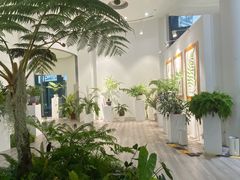 -上海辰山植物园