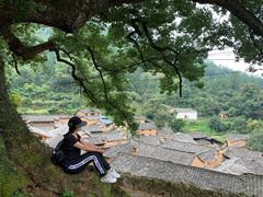 -杨家堂村