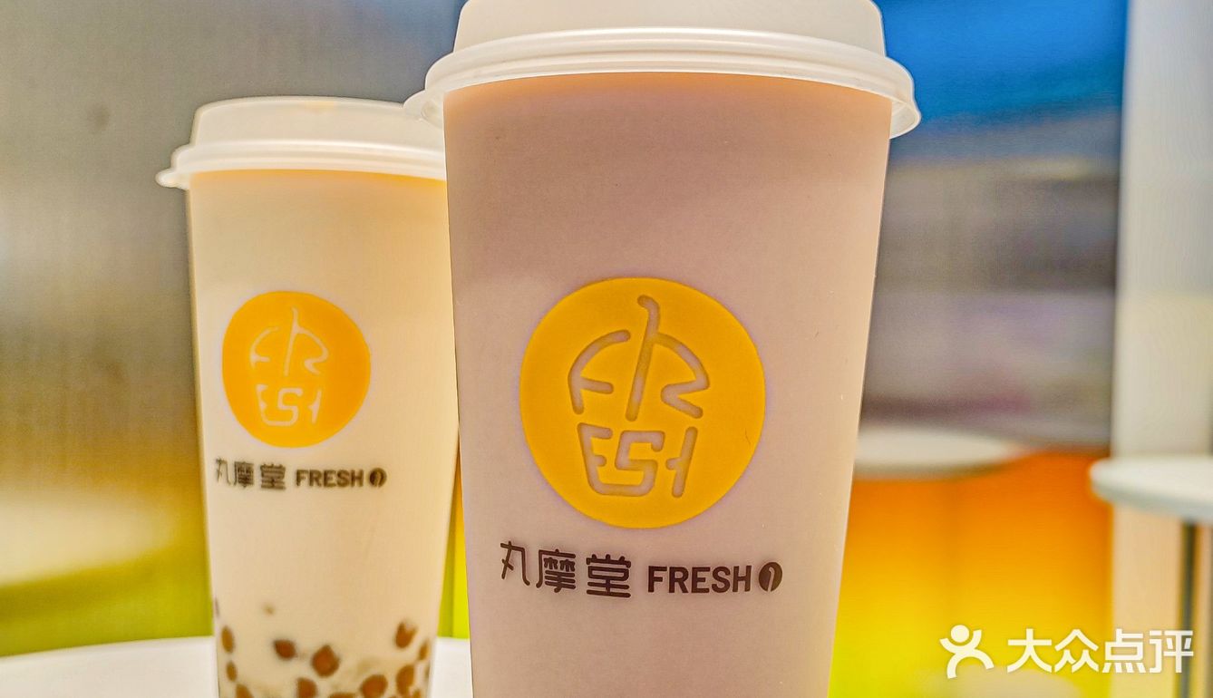 干了这杯丸摩堂！全🌰以福，满血搬砖！