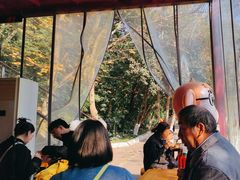 -鸡鸣汤包(红山动物园店)