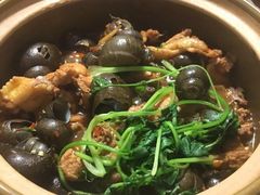 -食爺炭炉鸡煲·烧烤