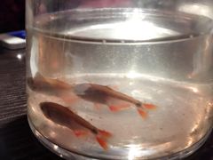 -柒號馆天津菜·八珍豆腐·牛窝骨