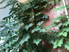 -三峡古玩城(泰古广场店)