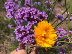 -石井坡(地铁站)