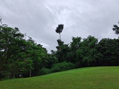-中国科学院西双版纳热带植物园