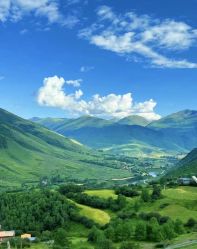 -美肤盾祛痘·问题肌头疗管理中心