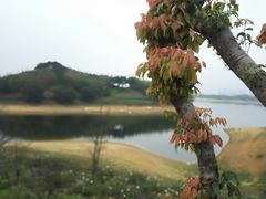 android_upload_pic-东莞松山湖凯悦酒店