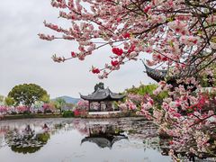 -无锡蠡湖国家湿地公园-蠡园