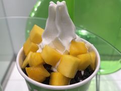 -Salud撒露欧洲冻酸奶(蓝色港湾店)