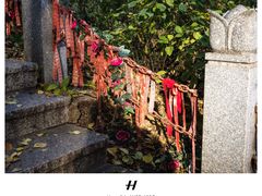 -北山公园
