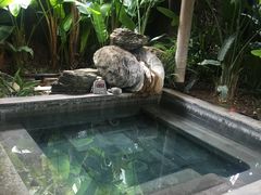 -和顺柏联温泉