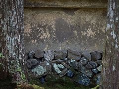 -西芳寺(苔寺)