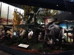 -湖南省地质博物馆