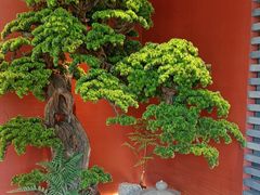 -阿伟海鲜楼·福建菜(延寿店)