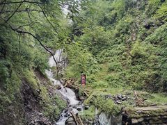 -凤凰山国家森林公园