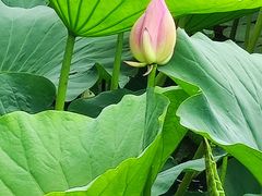 -长春市南湖公园