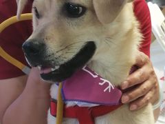 -远洋未来广场(育慧北路店)