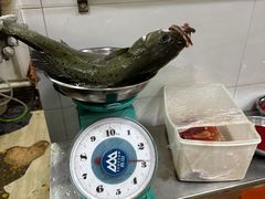-凯盈阁·顺德私房菜·桑拿鸡