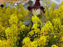 -天虹购物中心(石路店)