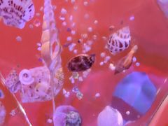 -海合安武汉极地海洋公园