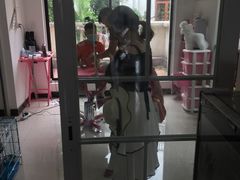 -翊宠yipet猫狗购宠庄园犬舍•猫舍