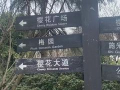 -南山植物园