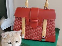 -Goyard 高雅德(国贸商城店)