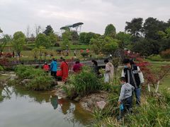 -铁山坪森林公园