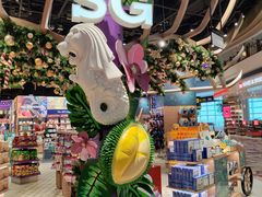 -樟宜机场免税店