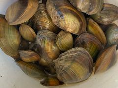 -皇粮浜湿地公园