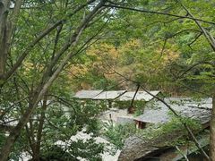 -高荡千年布依古寨旅游景区