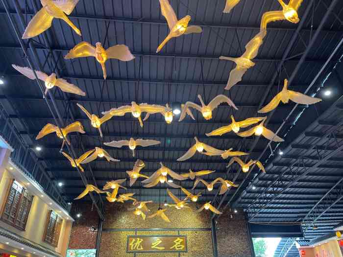 优之名鹅城-"环境很好,服务不错,口味偏淡,总体来说还.