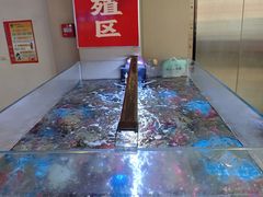 -徐记小怪兽肉蟹煲(中央大街店)