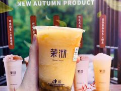 （中杯）葡萄柚汁绿-茉沏(光启城店)