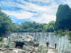 -宁波野生动物园