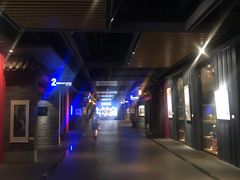 -万达影城(锦华万达广场IMAX店)