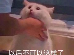 -老字号杨坡红油米线腊汁肉夹馍(东四道巷店)