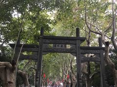 -杭州黄龙洞