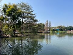 -海珠湖公园