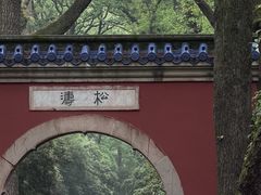 -灵谷景区
