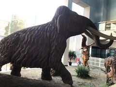 -中国第四纪冰川遗迹陈列馆