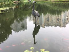 -苏州河梦清园环保主题公园